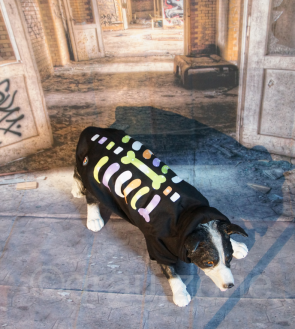 LED Hundebekleidung Hunde-Pullover Schwarz blinkende und leuchtende Hundemode Skelett Bunt in S M L XL