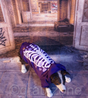 LED Hunde-Pullover Pulli Hoodie Lila als Bekleidung für kleine und große Hunde mit leuchtendem und blinkendem Skelett  in S, M, L, XL