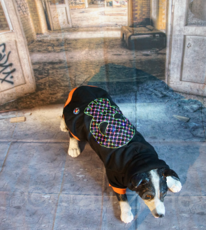 LED Hunde-Pullover leuchtende Hundebekleidung Hundekleidung blinkender Totenkopf Karo Größe S M L XL