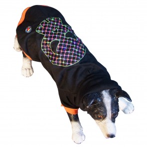 LED Pullover für den Hund
