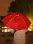 Regenschirm mit Beleuchtung
