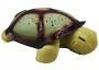 Lampe Schildkröte 