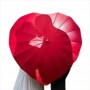 Regenschirm Herz