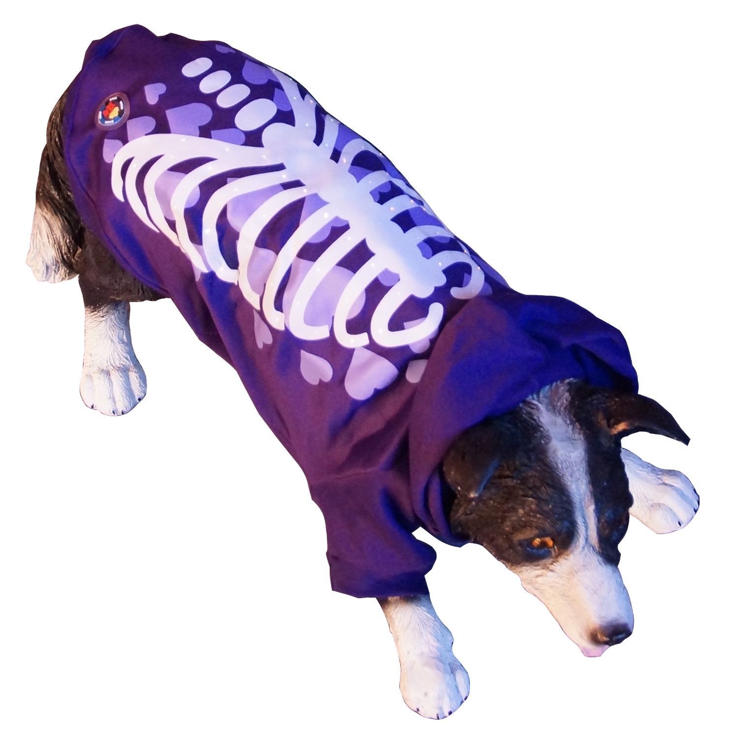 Haustierbedarf Hunde Kleidung & Accessories Pullover Ohne Pullover Hoodie für Hunde 